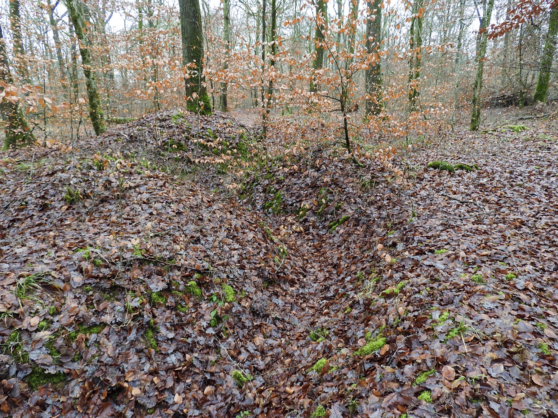 Ligne Maginot - BEWINKEL (I/174° RMIF) - (PC de Quartier) - Le réseau de tranchées près du PC.