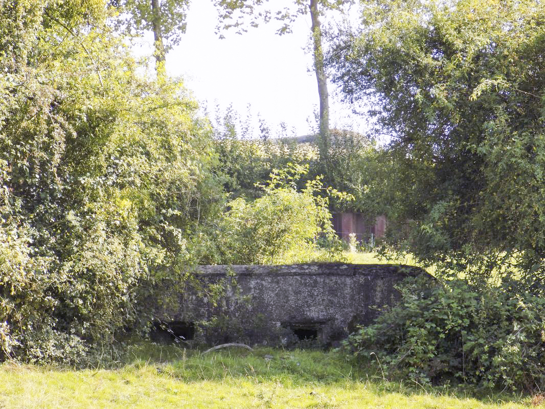 Ligne Maginot - 5 - BELLEVUE SUD - (Blockhaus pour arme infanterie) - Face frontale, avec la casemate d'artillerie de Bellevue visible en arrière plan