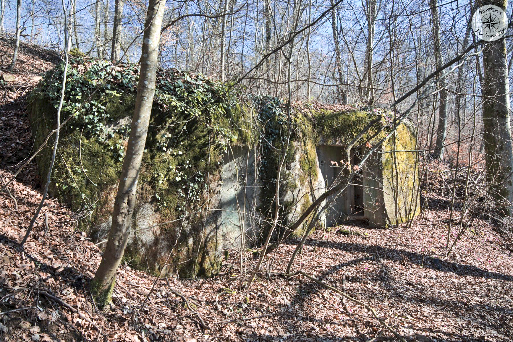Ligne Maginot - BOIS DE LA COTE (169° RIF) - (PC de Sous-Secteur) - 