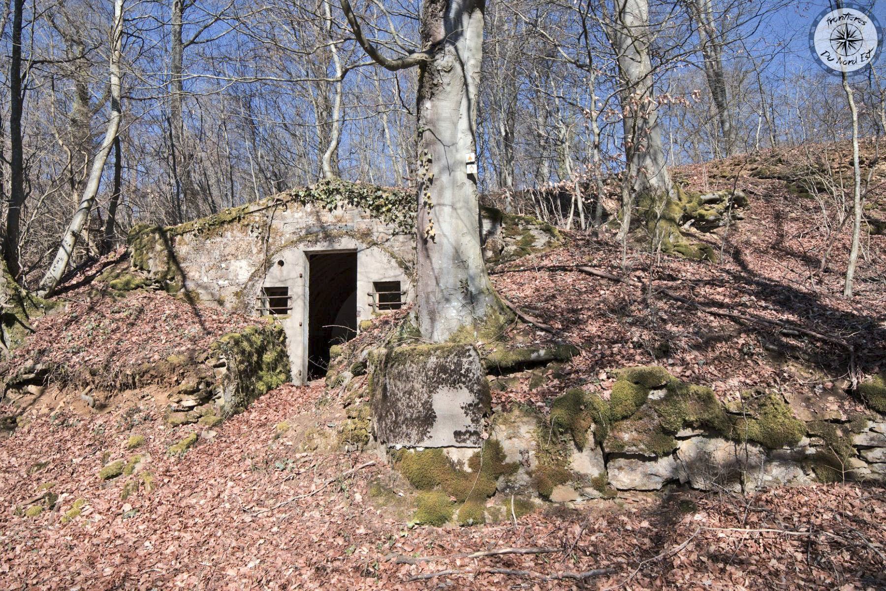Ligne Maginot - BOIS DE LA COTE (169° RIF) - (PC de Sous-Secteur) - 