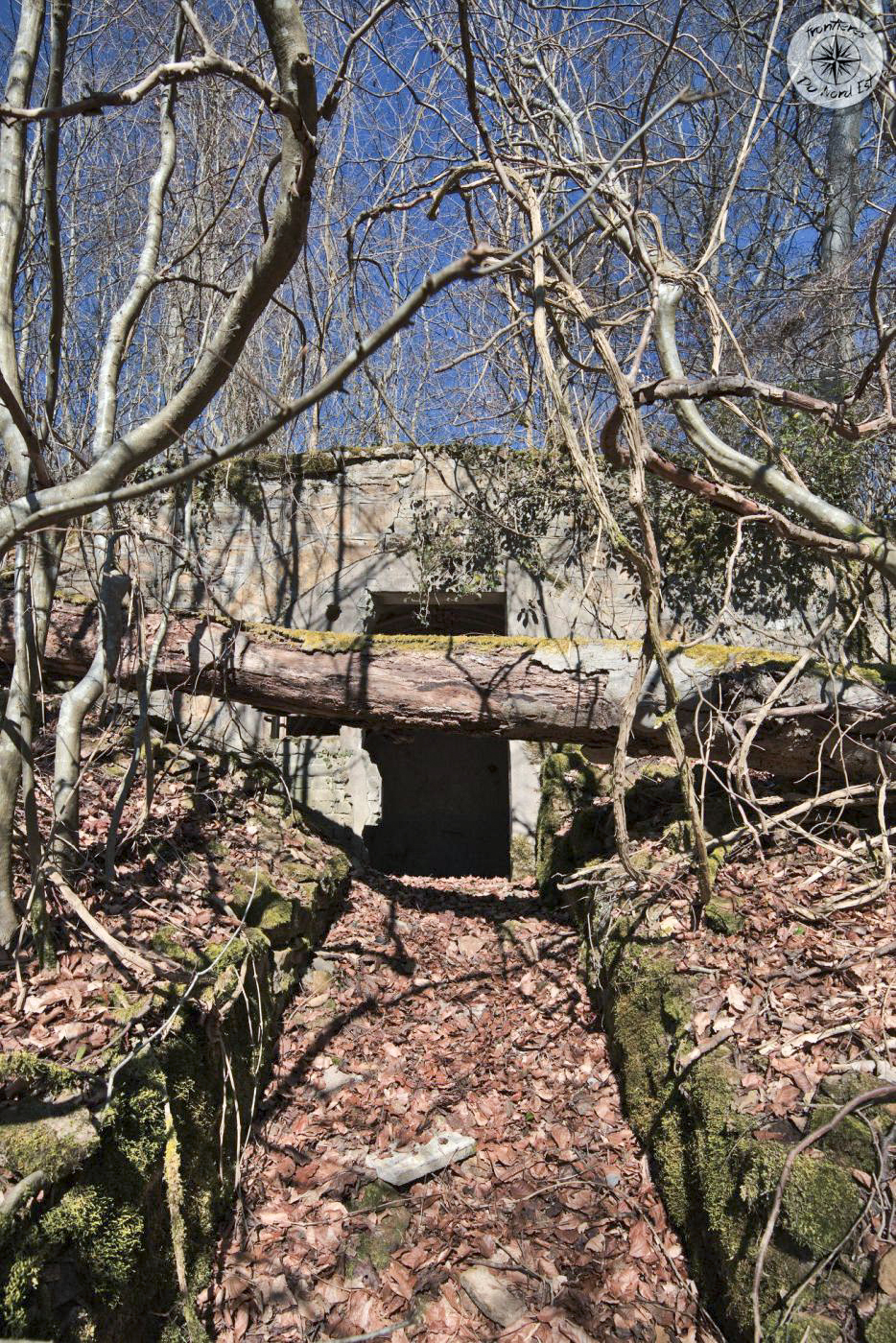 Ligne Maginot - BOIS DE LA COTE (169° RIF) - (PC de Sous-Secteur) - 