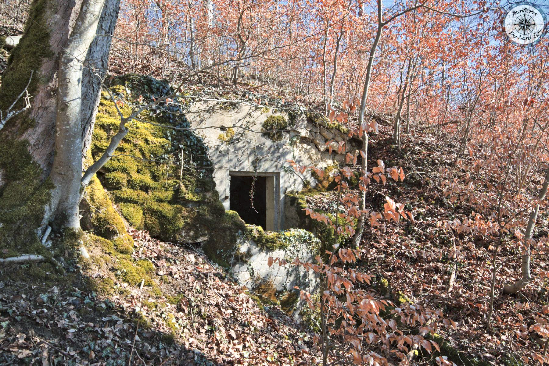 Ligne Maginot - BOIS DE LA COTE (169° RIF) - (PC de Sous-Secteur) - 