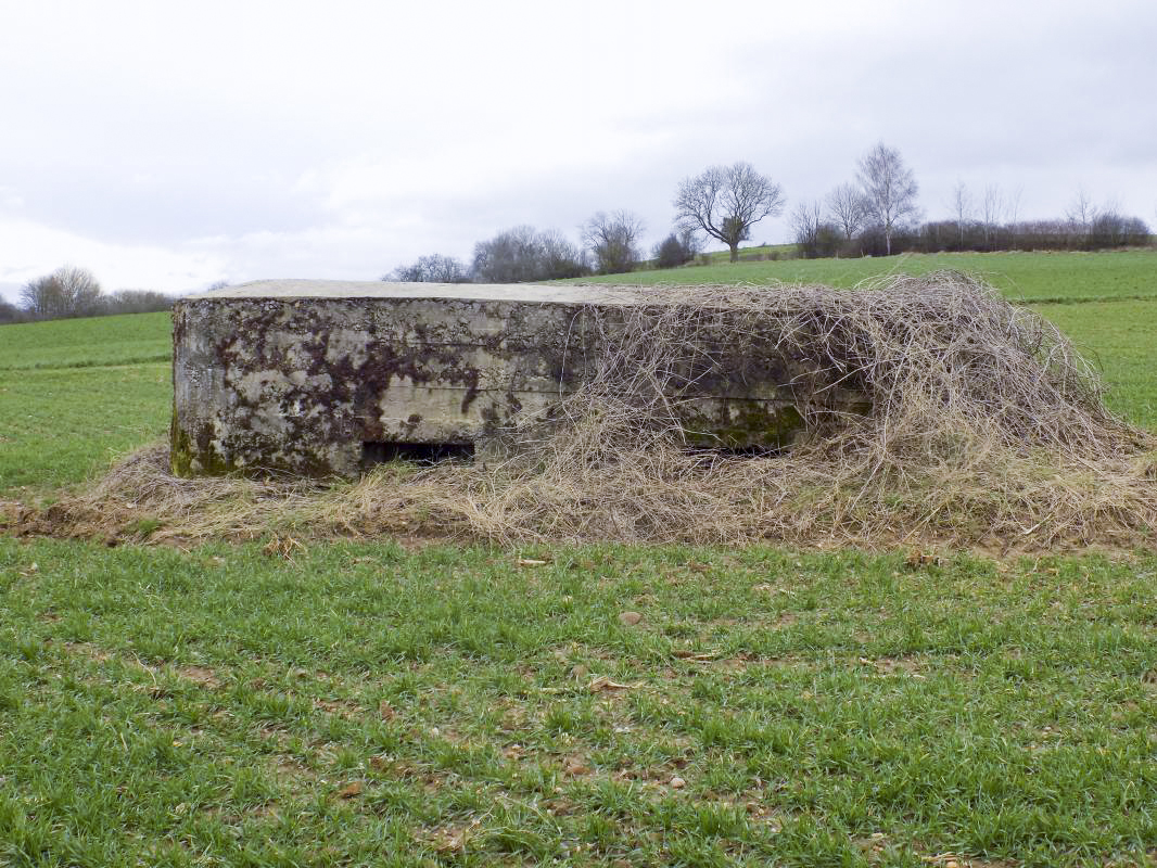 Ligne Maginot - 19 - LA SOCQUE NORD - (Blockhaus pour arme infanterie) - Face frontale - R Tucker