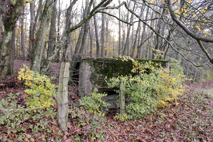 Ligne Maginot - PFAFFENBUSCH 2 - (Observatoire d'infanterie) -  - Christian LENHARD