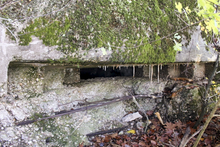 Ligne Maginot - PFAFFENBUSCH 2 - (Observatoire d'infanterie) -  - Christian LENHARD