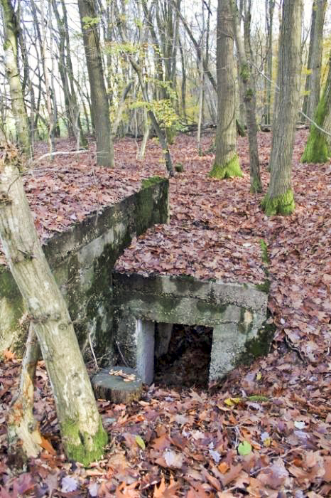 Ligne Maginot - PFAFFENBUSCH 2 - (Observatoire d'infanterie) -  - Christian LENHARD
