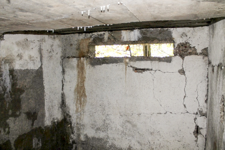 Ligne Maginot - PFAFFENBUSCH 2 - (Observatoire d'infanterie) -  - Christian LENHARD