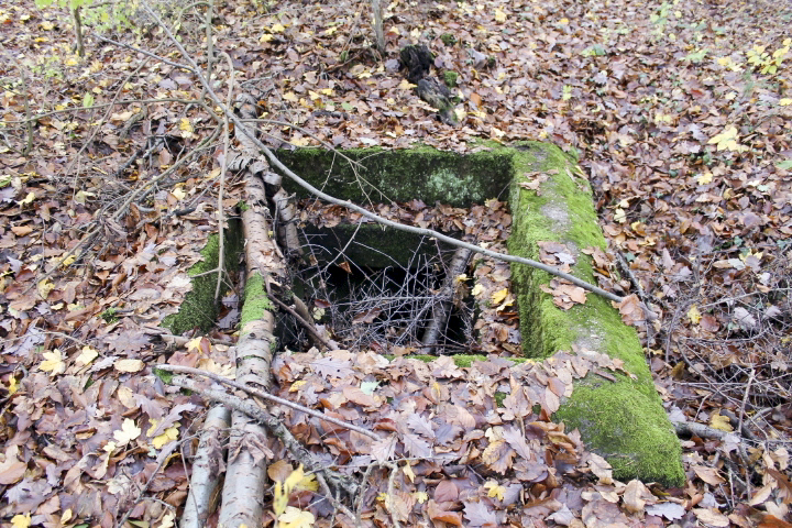 Ligne Maginot - PFAFFENBUSCH 4 - (Chambre de coupure) - 