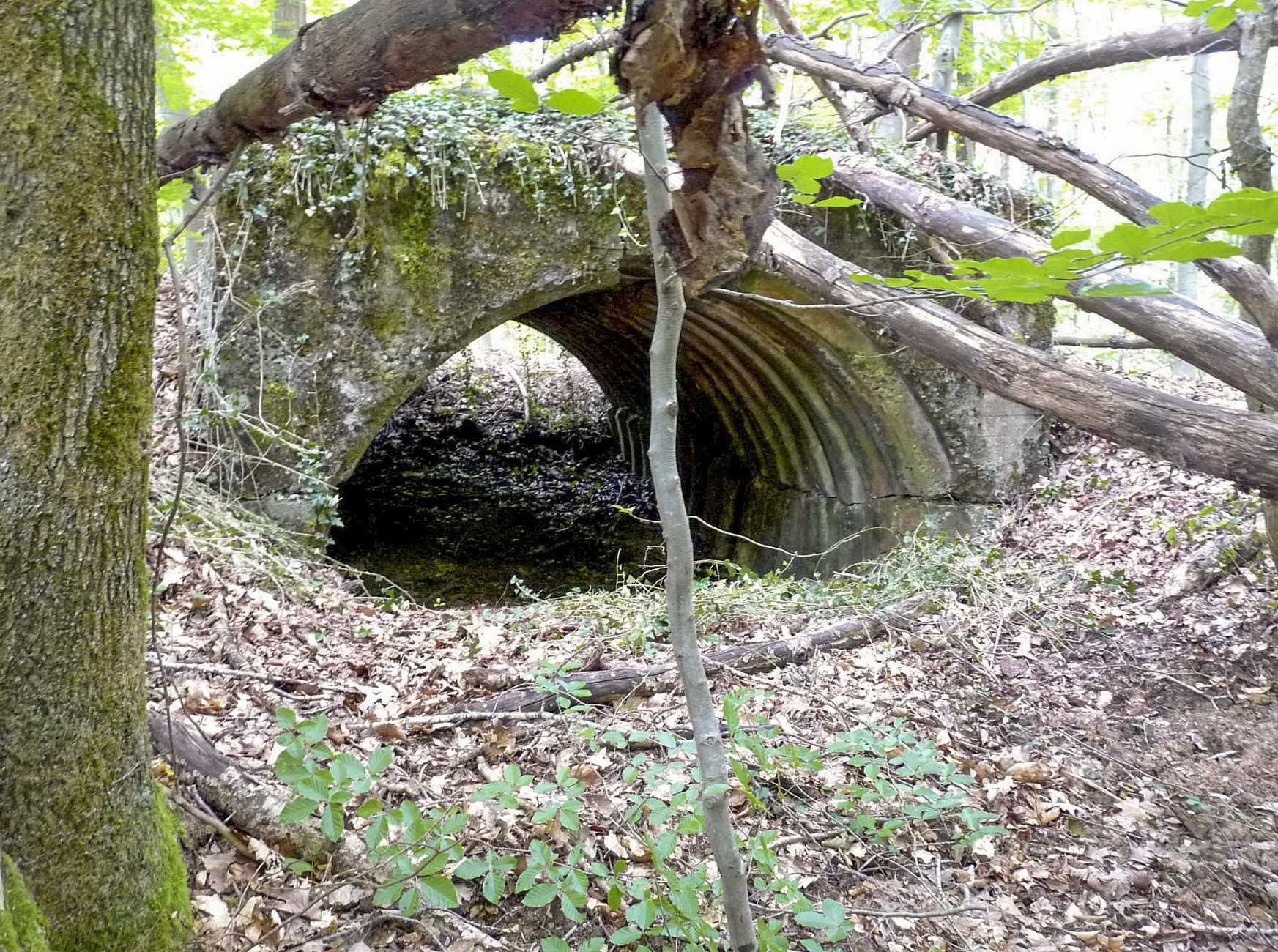 Ligne Maginot - PFAFFENBUSCH 5 - (PC) -  - Sylvie Laure LAMBERT