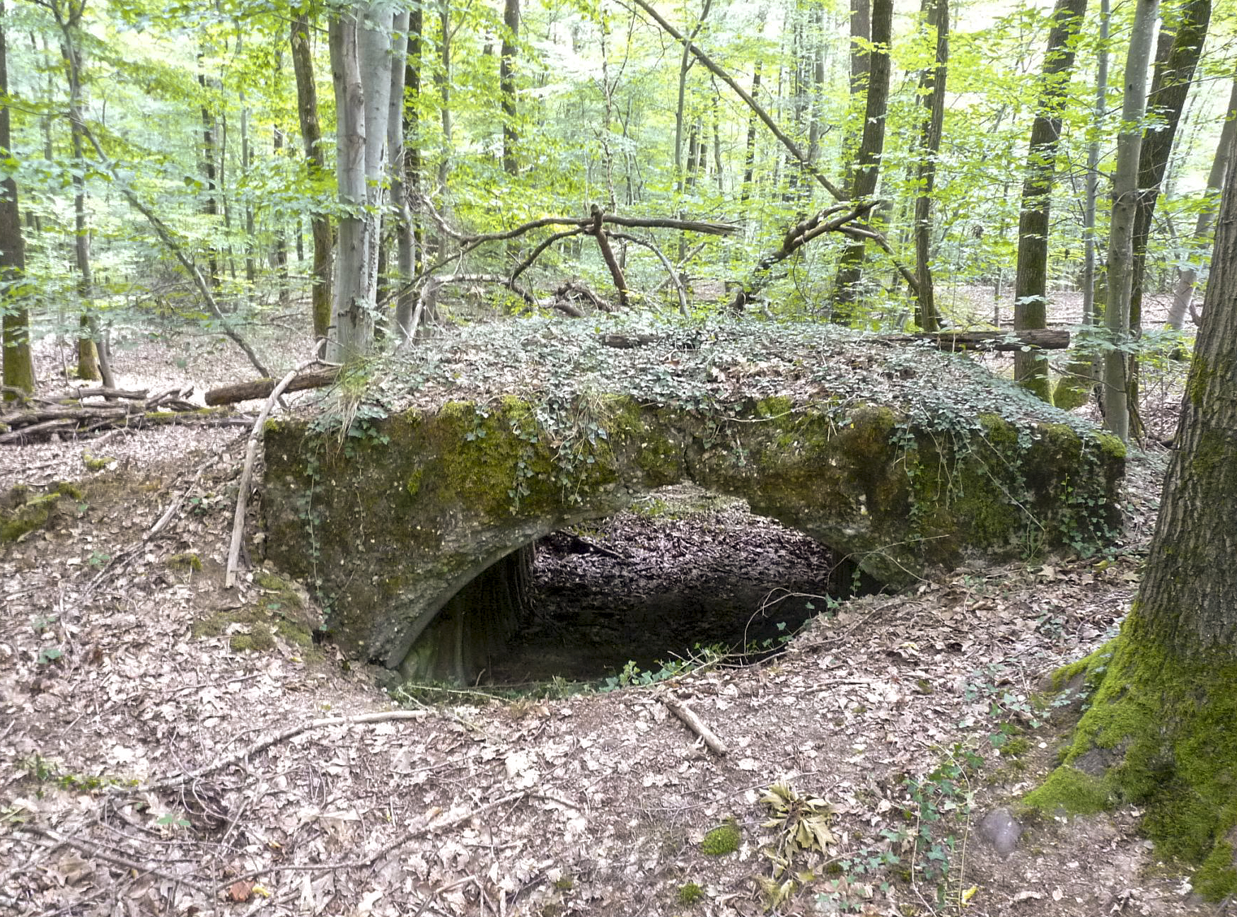 Ligne Maginot - PFAFFENBUSCH 5 - (PC) -  - Sylvie Laure LAMBERT