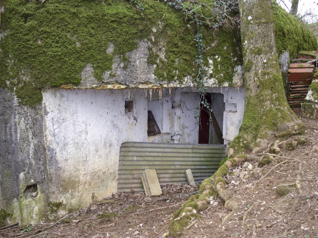 Ligne Maginot - 163 - COTE DE LA VALLIERE - (Blockhaus lourd type STG / STG-FCR - Simple) - L'entrée - R Tucker
