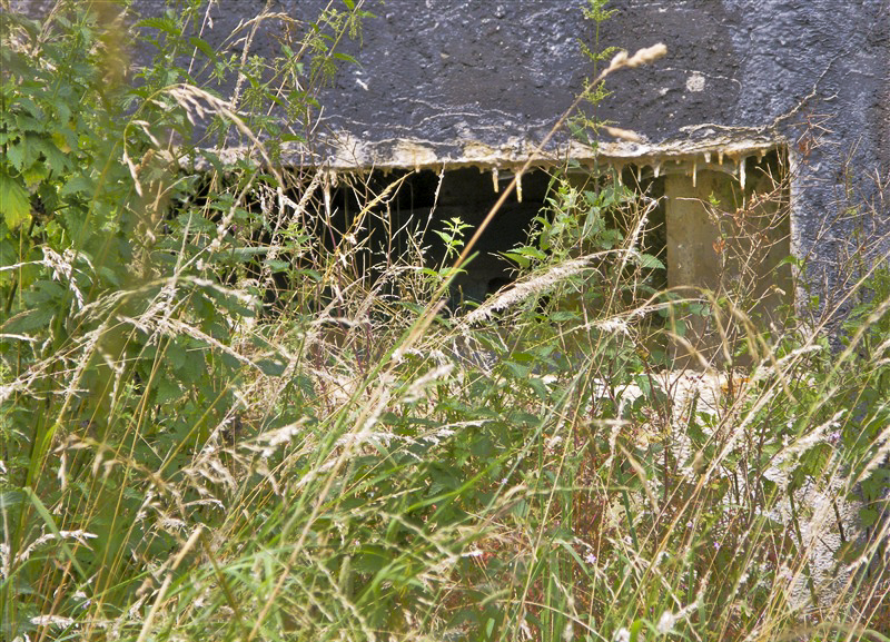 Ligne Maginot - 163 - COTE DE LA VALLIERE - (Blockhaus lourd type STG / STG-FCR - Simple) -  - © Jean-Louis AUBLET & Sylvie MAINGUIN