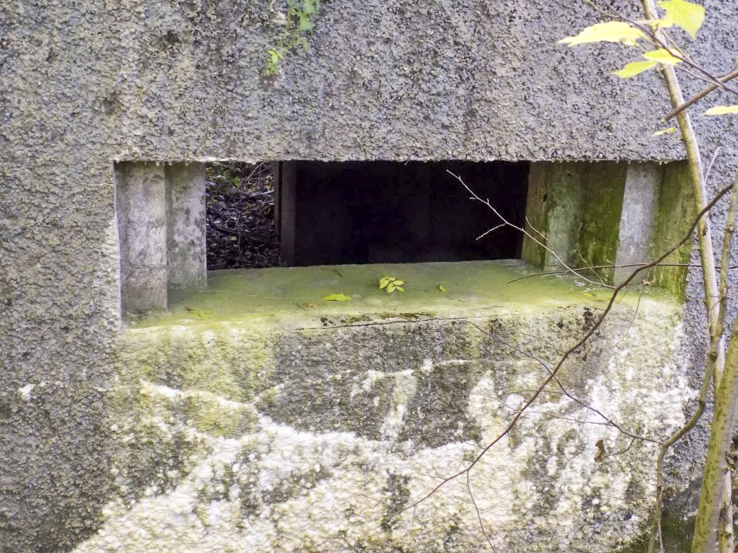 Ligne Maginot - 201 - LA NIVRAGNE OUEST - (Blockhaus pour canon) - Face frontale créneau AC