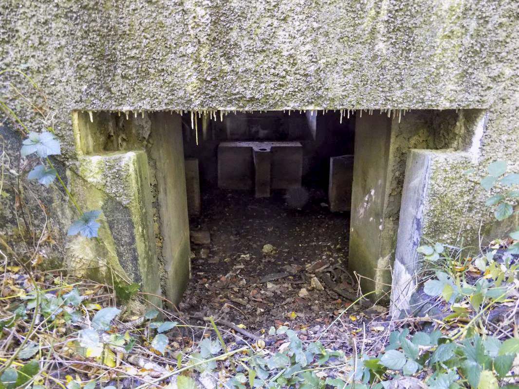 Ligne Maginot - 201 - LA NIVRAGNE OUEST - (Blockhaus pour canon) - L'entrée AC