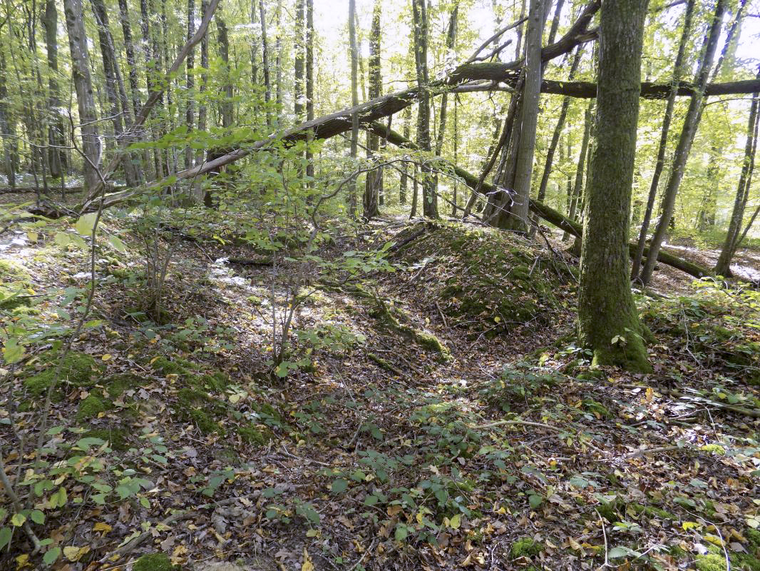 Ligne Maginot - 201 - LA NIVRAGNE OUEST - (Blockhaus pour canon) - Grand abri, 50m du bloc