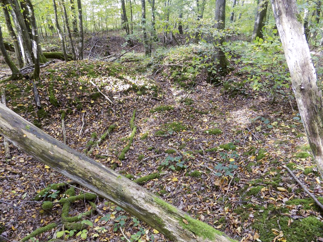 Ligne Maginot - 201 - LA NIVRAGNE OUEST - (Blockhaus pour canon) - Grand abri, 50m du bloc