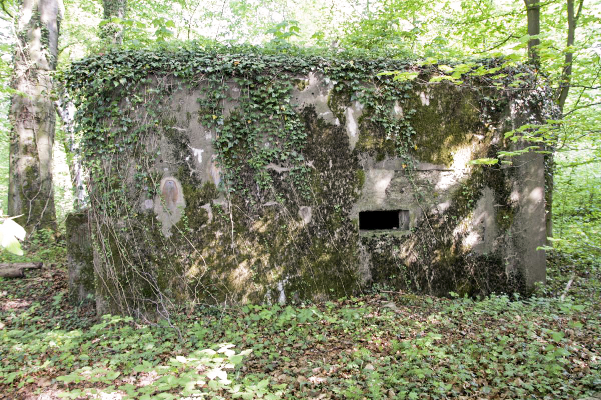 Ligne Maginot - CB337 - GRAND LOT NORD - (Blockhaus pour arme infanterie) - L'une des faces présente ce curieux petit créneau de défense rapprochée