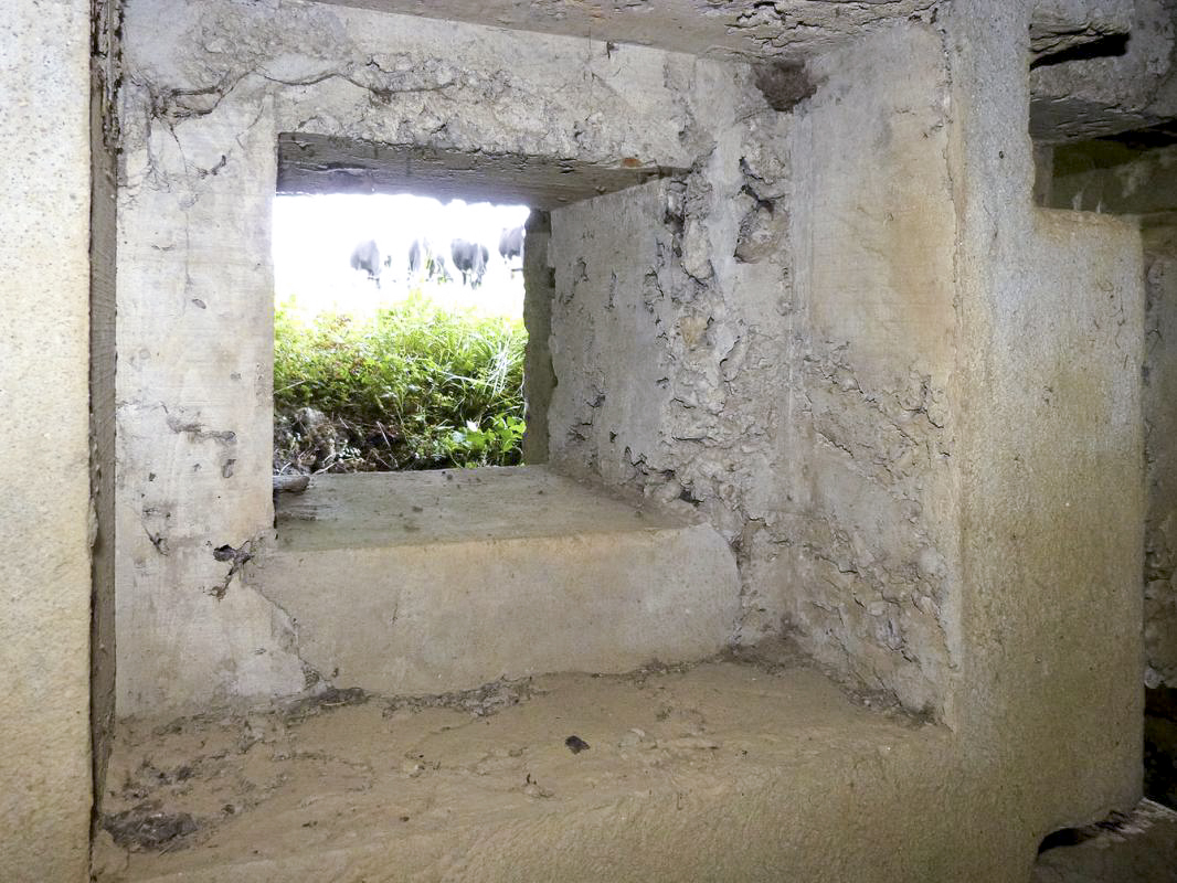 Ligne Maginot - 101 - PAQUIS DES CAILLES - (Blockhaus lourd type STG / STG-FCR - Double) - 
