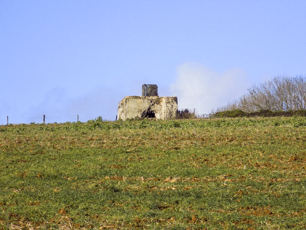 Ligne Maginot - 222 - SAURETERRE OUEST - (Blockhaus pour canon) - 
