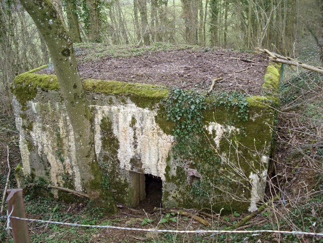 Ligne Maginot - 310 - LA VASALLEE NORD - (Blockhaus pour arme infanterie) - L'entrée
