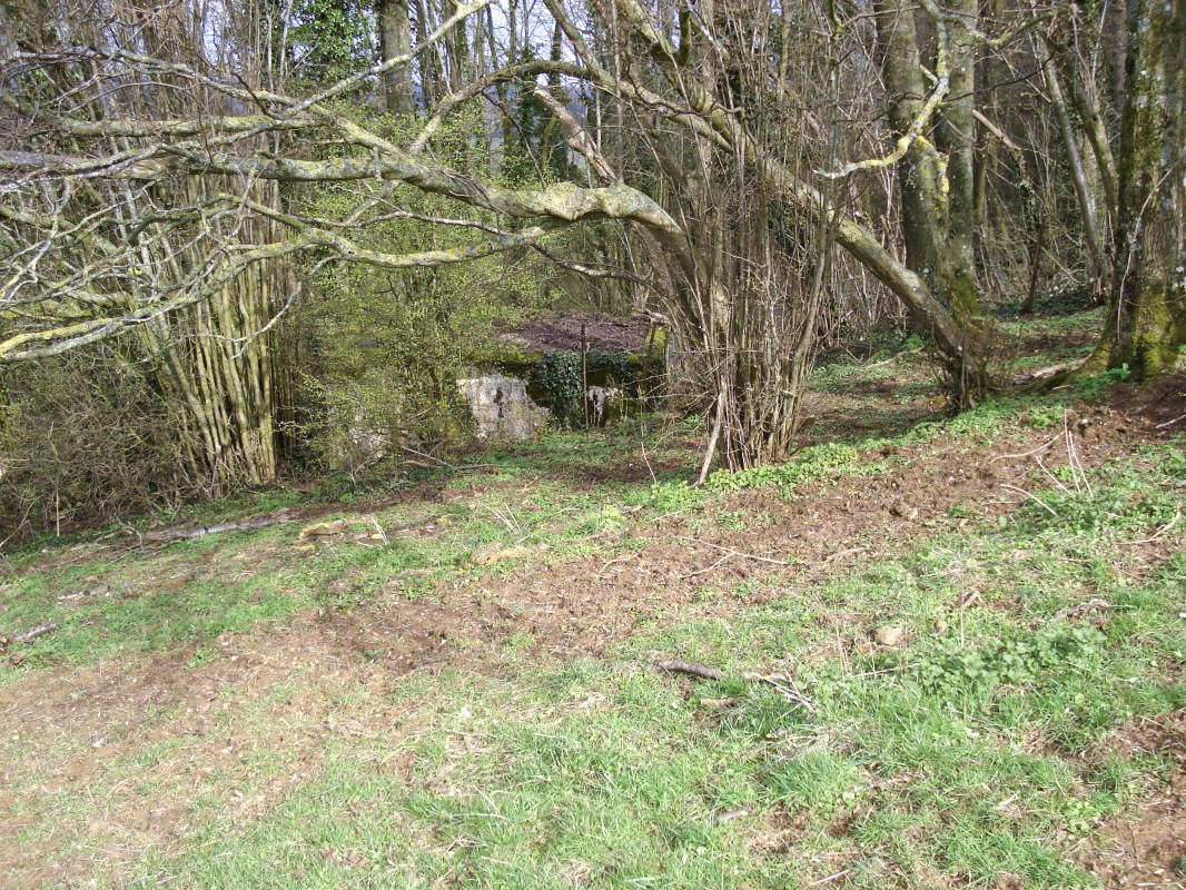 Ligne Maginot - 310 - LA VASALLEE NORD - (Blockhaus pour arme infanterie) - 