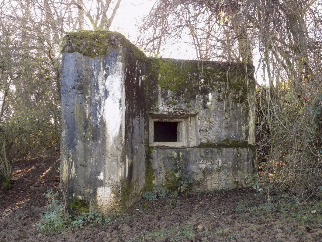 Ligne Maginot - 311 - SAURETERRE EST - (Blockhaus pour arme infanterie) - Face vers le nord