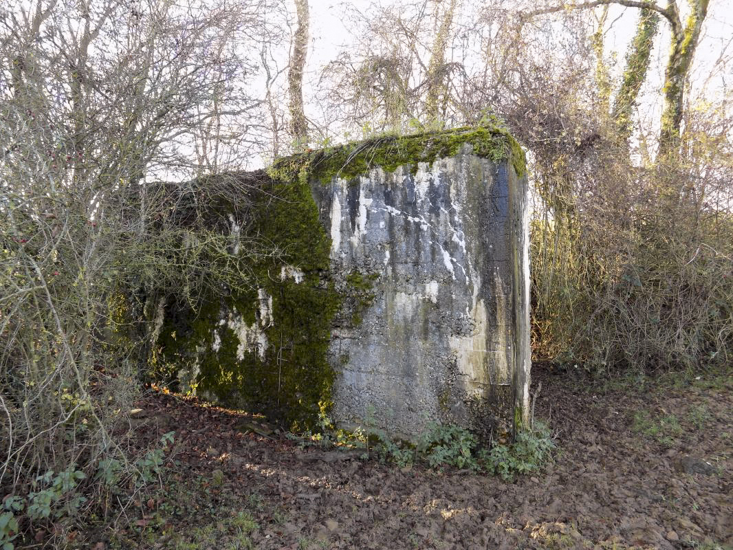 Ligne Maginot - 311 - SAURETERRE EST - (Blockhaus pour arme infanterie) - Face vers l'est