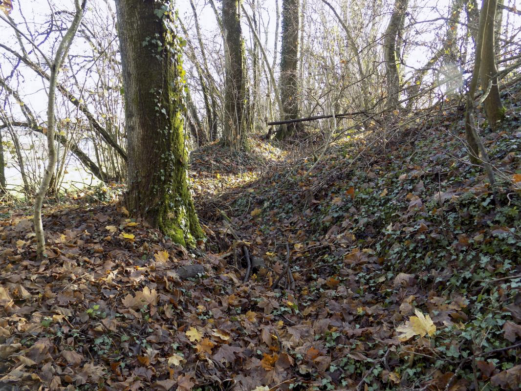Ligne Maginot - 311 - SAURETERRE EST - (Blockhaus pour arme infanterie) - Vestige des tranchées vers l'entrée
