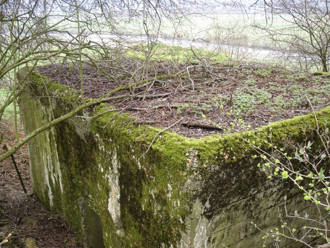 Ligne Maginot - 311 - SAURETERRE EST - (Blockhaus pour arme infanterie) - 