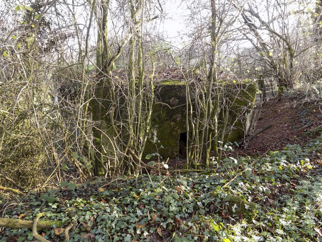 Ligne Maginot - 311 - SAURETERRE EST - (Blockhaus pour arme infanterie) - L'entrée
