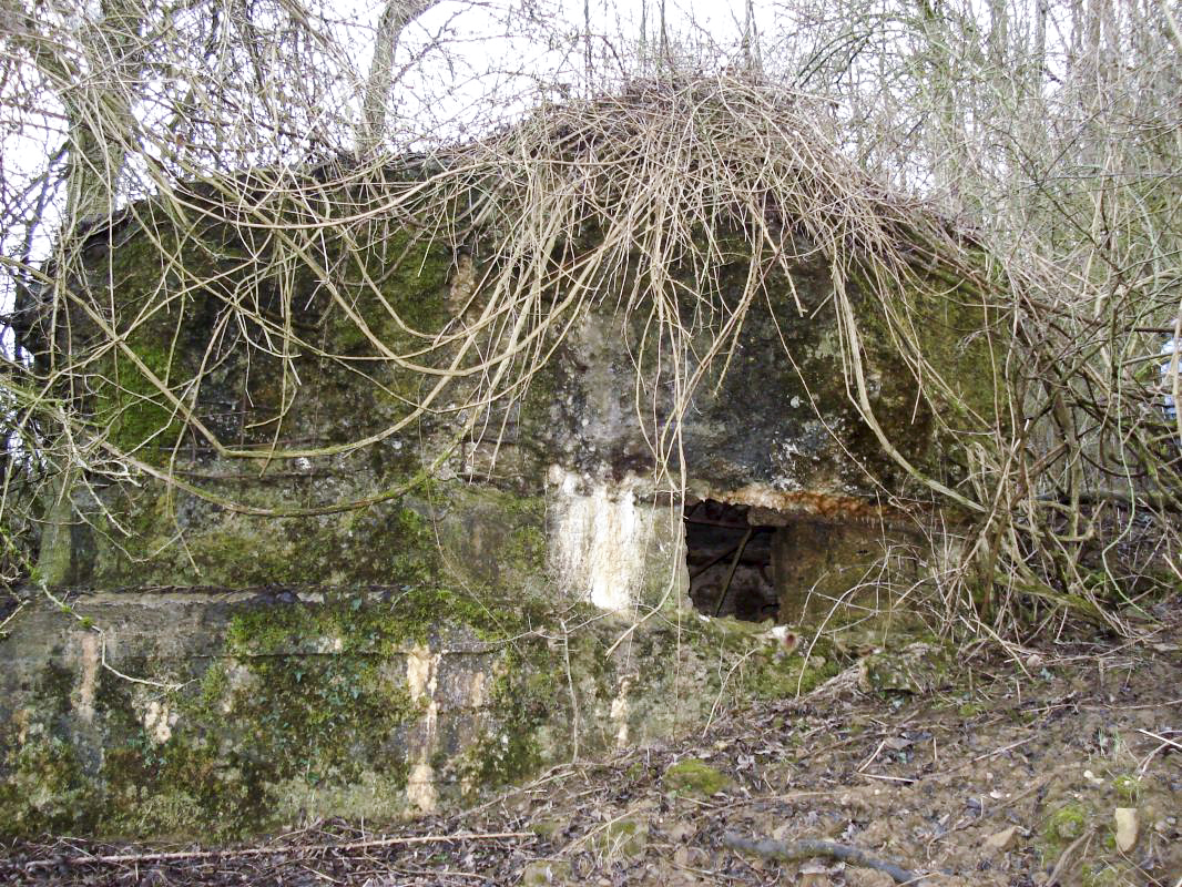 Ligne Maginot - B - LA MALADRERIE OUEST - (Blockhaus pour canon) - Embrasure pour canon
