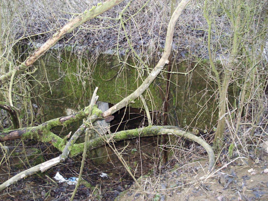 Ligne Maginot - B - LA MALADRERIE OUEST - (Blockhaus pour canon) - L'entrée