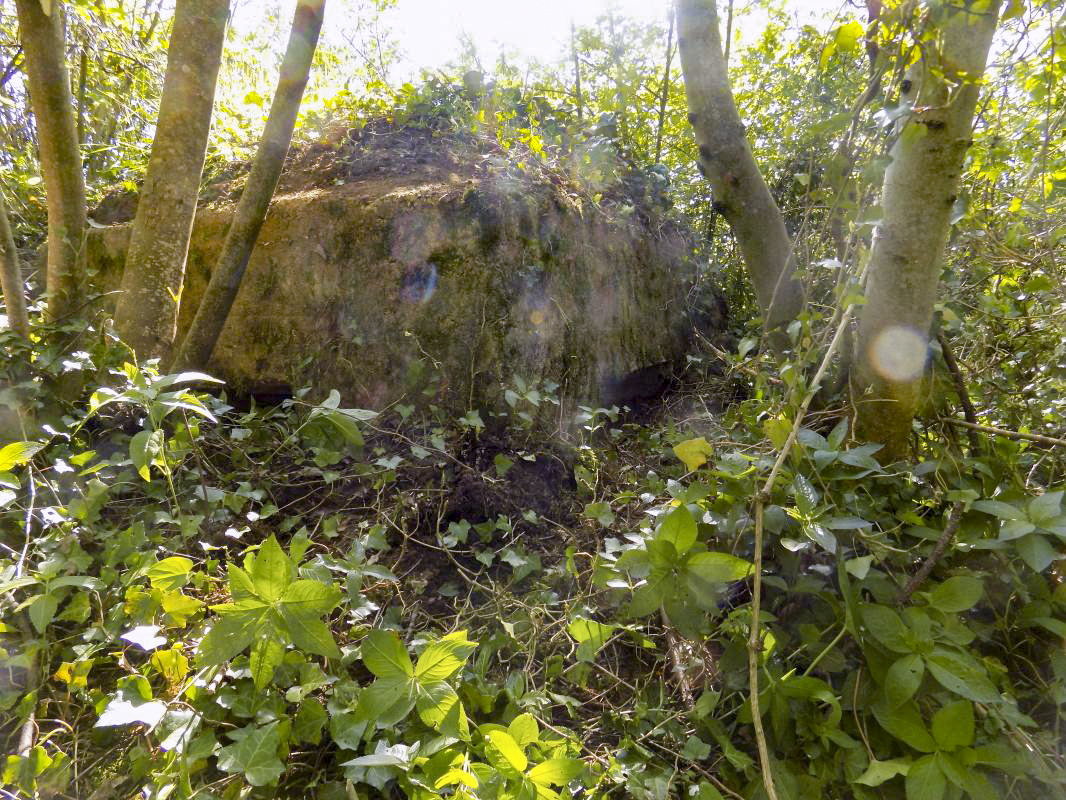 Ligne Maginot - BB121 - BOIS DU LIRRY - (Observatoire indéterminé) - Faces frontale droite et gauche - Pitbull
