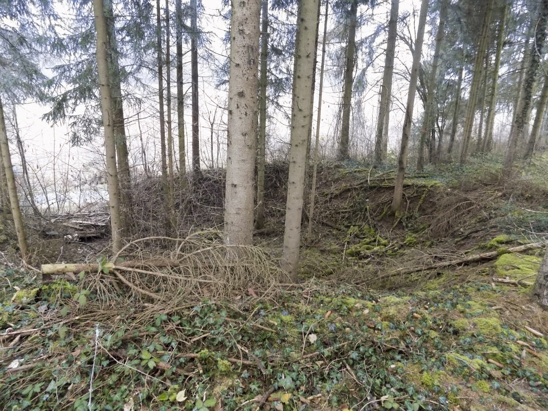 Ligne Maginot - BULSON (8° BIE 185° RALT) - (Position d'artillerie préparée) - Position préparée pour pièce de 155mm