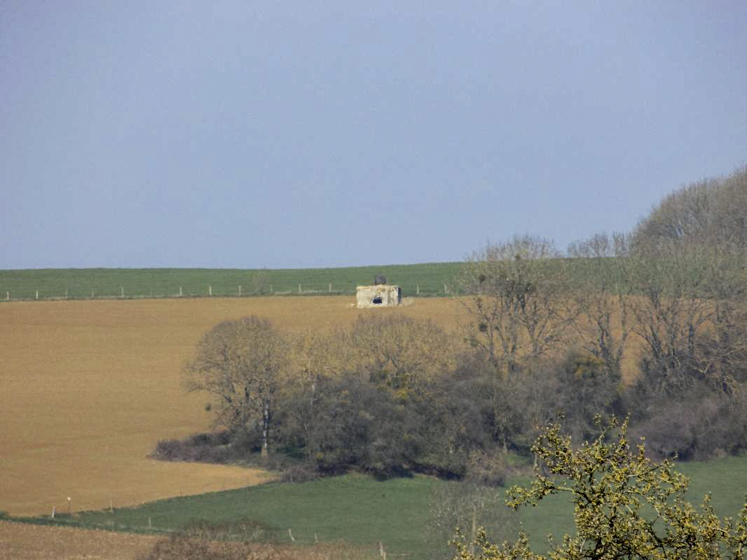 Ligne Maginot - C - CHATEAU DU LIRRY - (Blockhaus pour arme infanterie) - Vue vers le nord-ouest, bloc 222