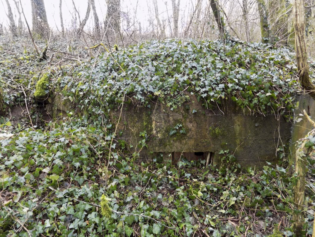 Ligne Maginot - E - CÔTE DU RÛ SUD - (Blockhaus pour arme infanterie) - Face droite - Richard TUCKER