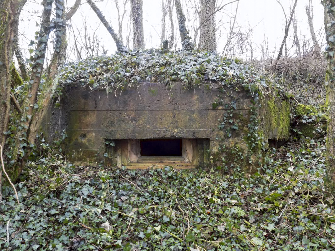 Ligne Maginot - E - CÔTE DU RÛ SUD - (Blockhaus pour arme infanterie) - Face frontale