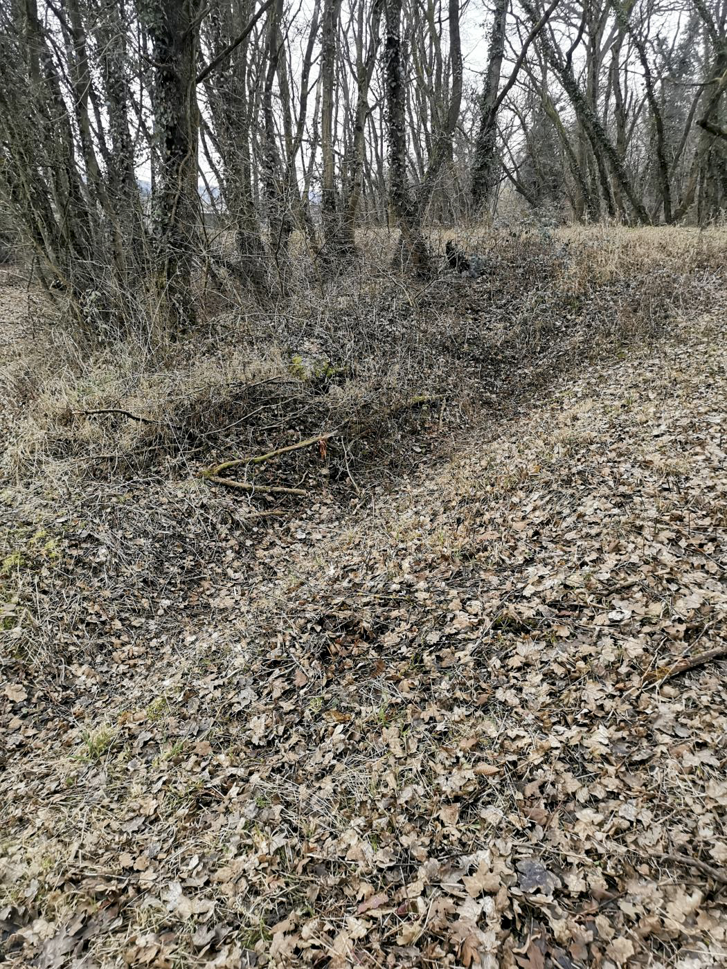 Ligne Maginot - KEMBS OUEST - (Barrage de Route) - Fossé antichar, également de l'autre côté de la route.