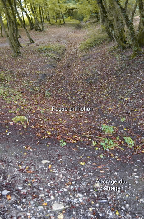 Ligne Maginot - KEMBS Ouest (Barrage de Route) - L'emplacement du barrage routier