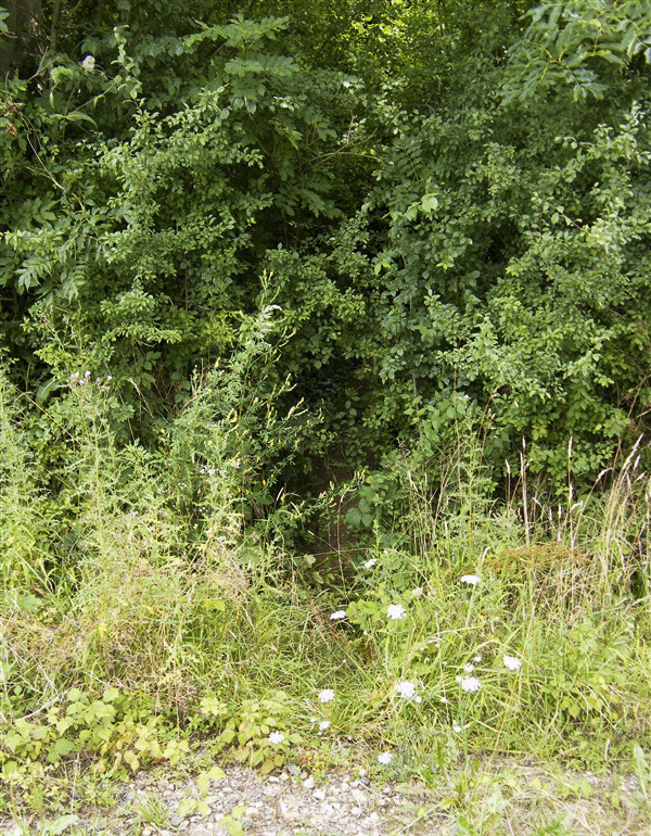Ligne Maginot - K - FERME DU MOULIN - (Blockhaus pour canon) -  - Jean-Louis AUBLET & Sylvie MAINGUIN