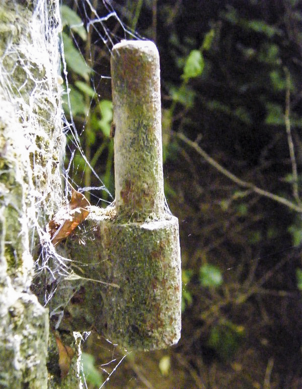 Ligne Maginot - K - FERME DU MOULIN - (Blockhaus pour canon) -  - Jean-Louis AUBLET & Sylvie MAINGUIN