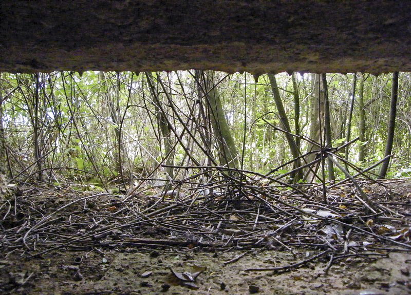 Ligne Maginot - K - FERME DU MOULIN - (Blockhaus pour canon) -  - Jean-Louis AUBLET & Sylvie MAINGUIN