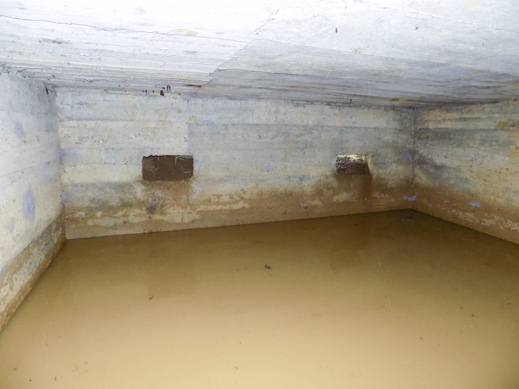 Ligne Maginot - P5 - PORTE DE GARDE - (Blockhaus pour arme infanterie) - Face frontale - R Tucker