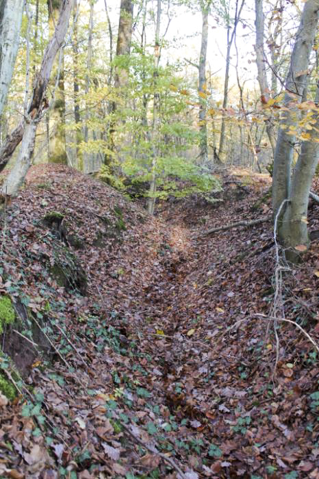 Ligne Maginot - PFAFFENBUSCH 6 - (Abri) -  - Christian LENHARD