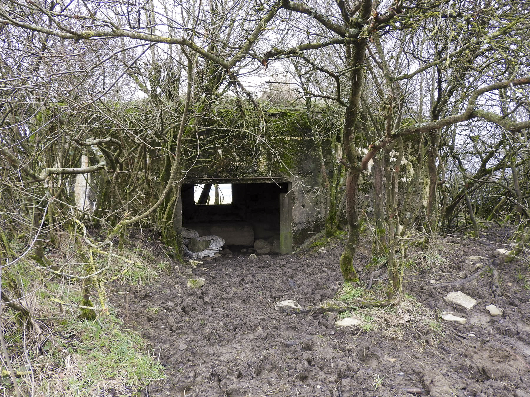 Ligne Maginot - LANTZWILLER - (Blockhaus pour canon) - La façade arrière et l'entrée du blockhaus. - STENGER Mathieu
