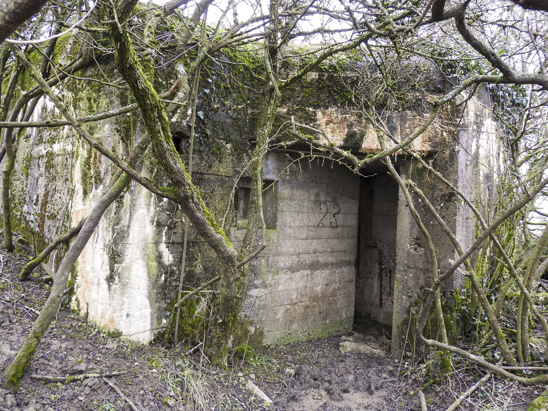 Ligne Maginot - LANTZWILLER - (Blockhaus pour canon) - L'entrée personnel du blockhaus. - STENGER Mathieu