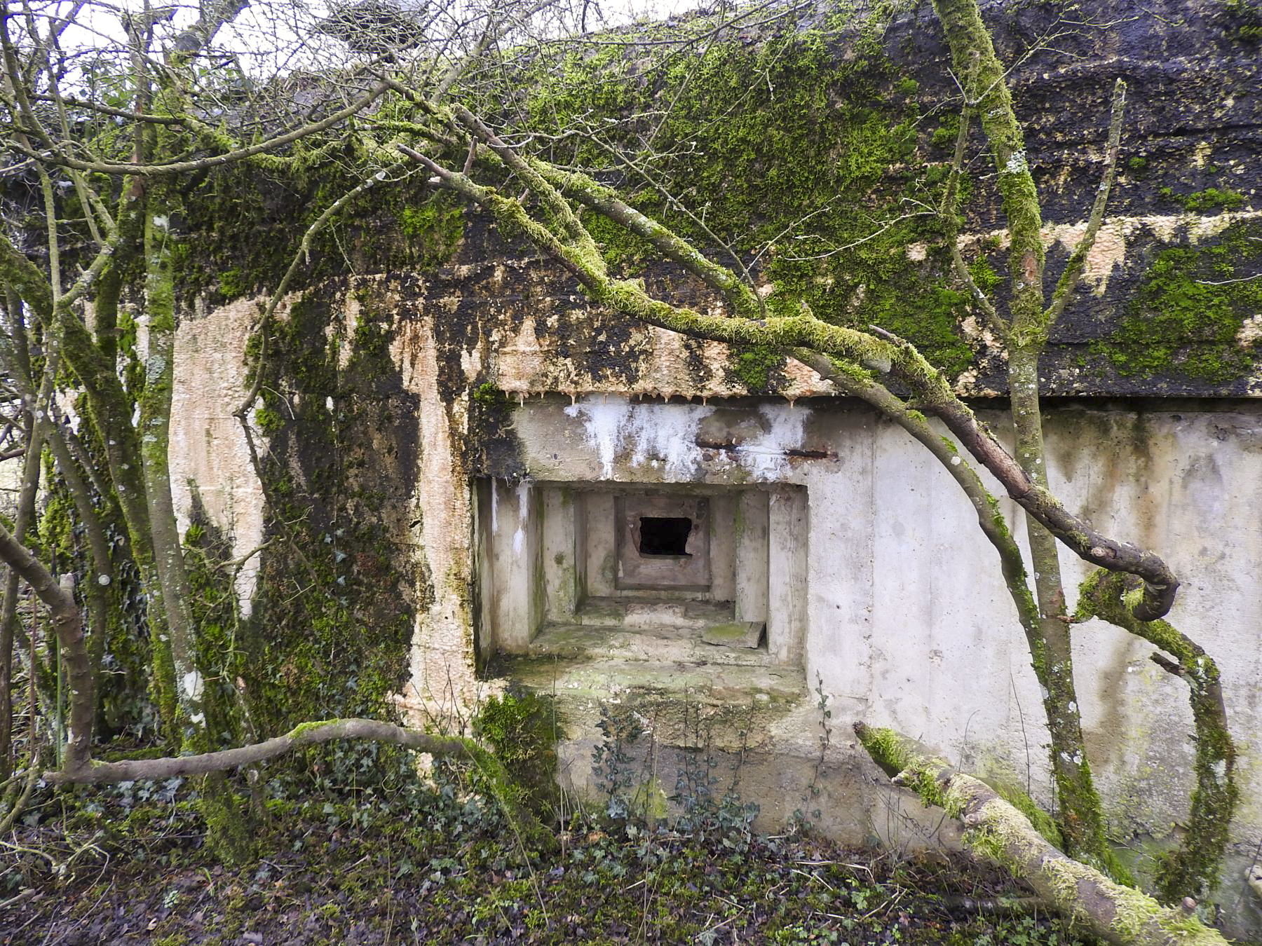 Ligne Maginot - LANTZWILLER - (Blockhaus pour canon) - Le créneau pour FM. - STENGER Mathieu