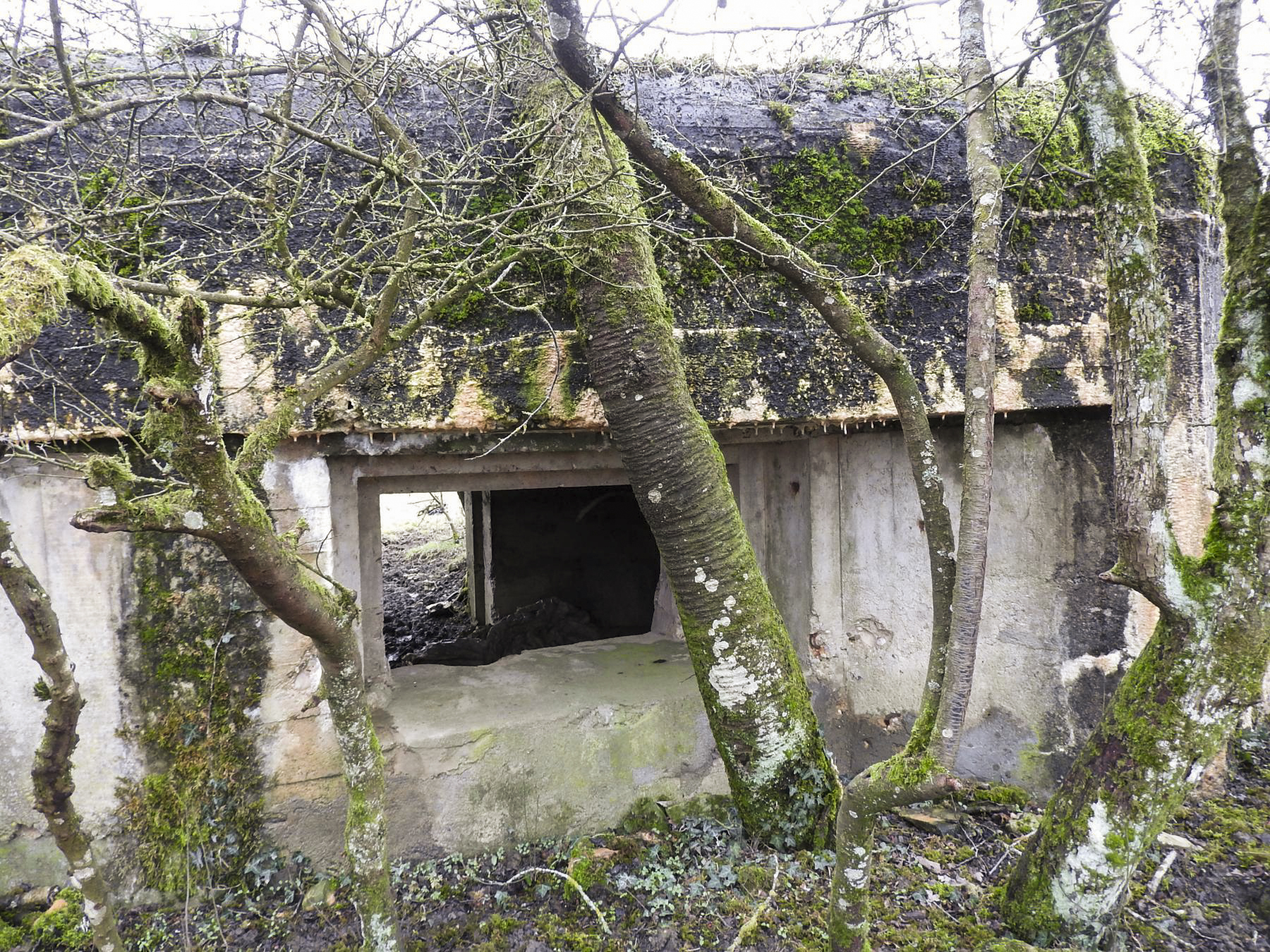 Ligne Maginot - LANTZWILLER - (Blockhaus pour canon) - L'embrasure du canon anti-char. - STENGER Mathieu
