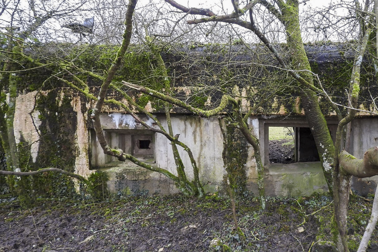 Ligne Maginot - LANTZWILLER - (Blockhaus pour canon) - La façade de tir. - STENGER Mathieu