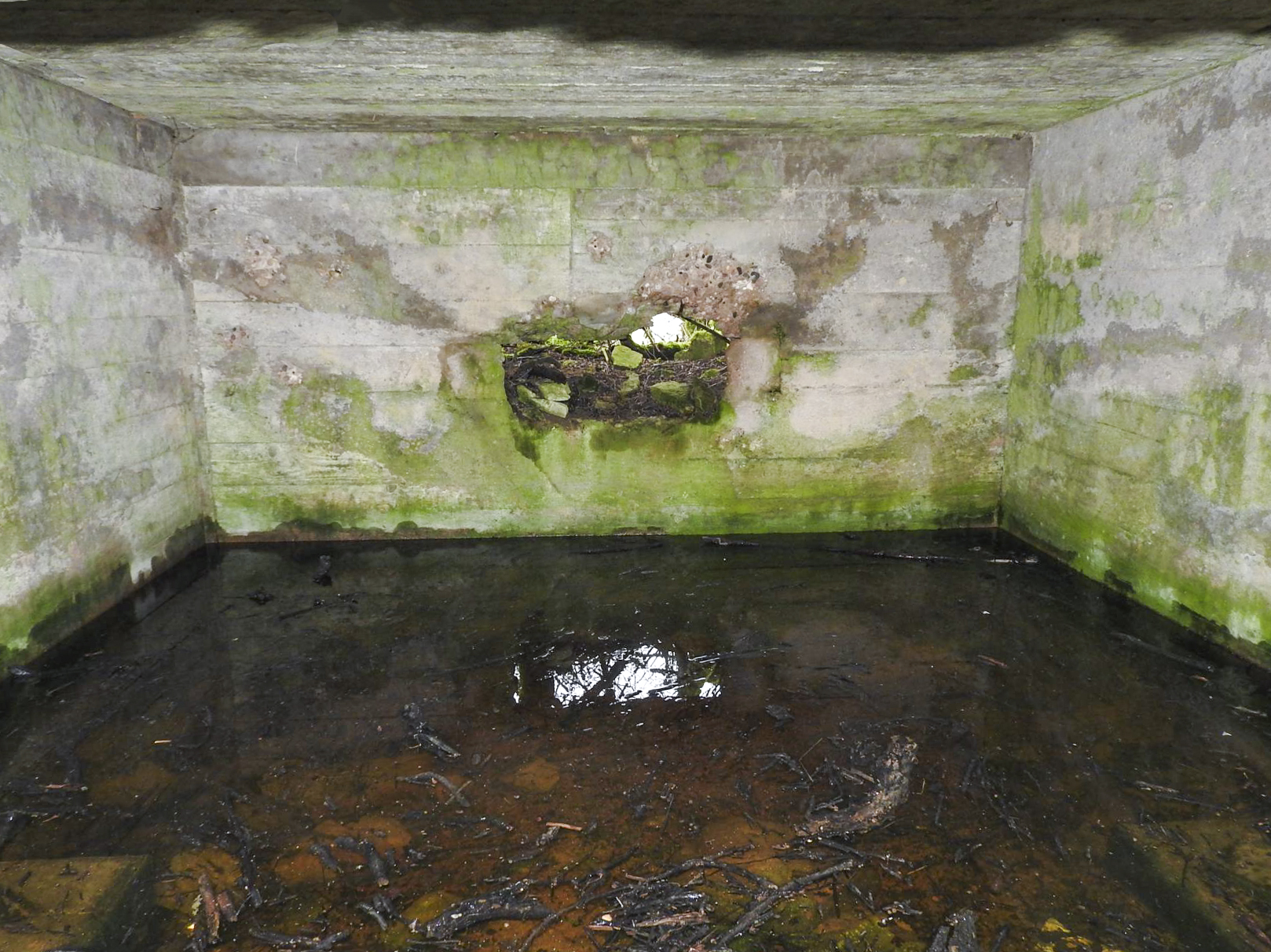 Ligne Maginot - SALWALD 4 - (Blockhaus pour canon) - La chambre de tir du canon. - STENGER Mathieu